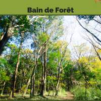 Bain de Fôret