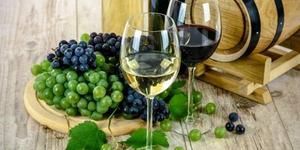 Wine tour et dégustation de vins