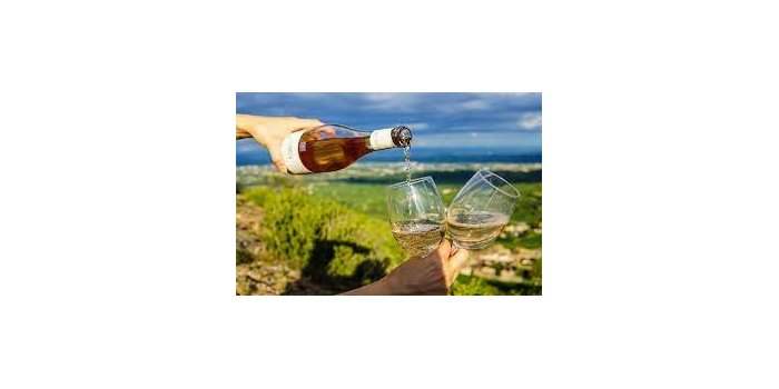 Visite - La route des vins
