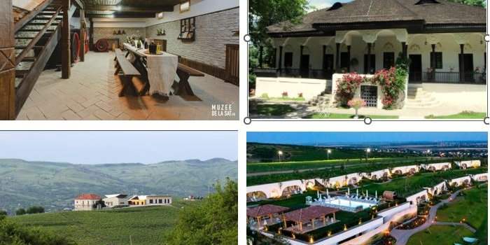 Excursion dans la Prahova : entre musées et vignoble