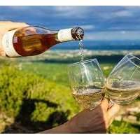 Visite - La route des vins - Samedi 23 octobre 2021
