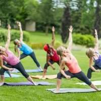 Cours de YOGA