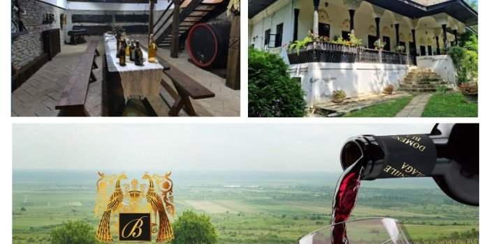 Excursion dans la Prahova entre Musées et Vignoble