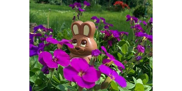 Viens, joue et gagne tes chocolats de Pâques !