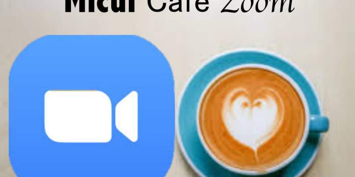 REPORTE - Micul Café Zoom