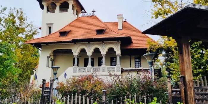 Visite - Vila Minovici 