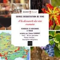 A la découverte des vins roumains